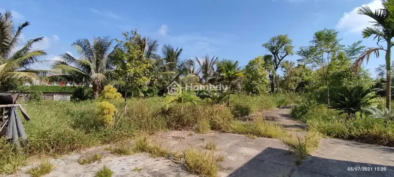 Bán Lô Đất Trang Trại Hơn 5000M Ở Kiến Thụy, Hải Phòng