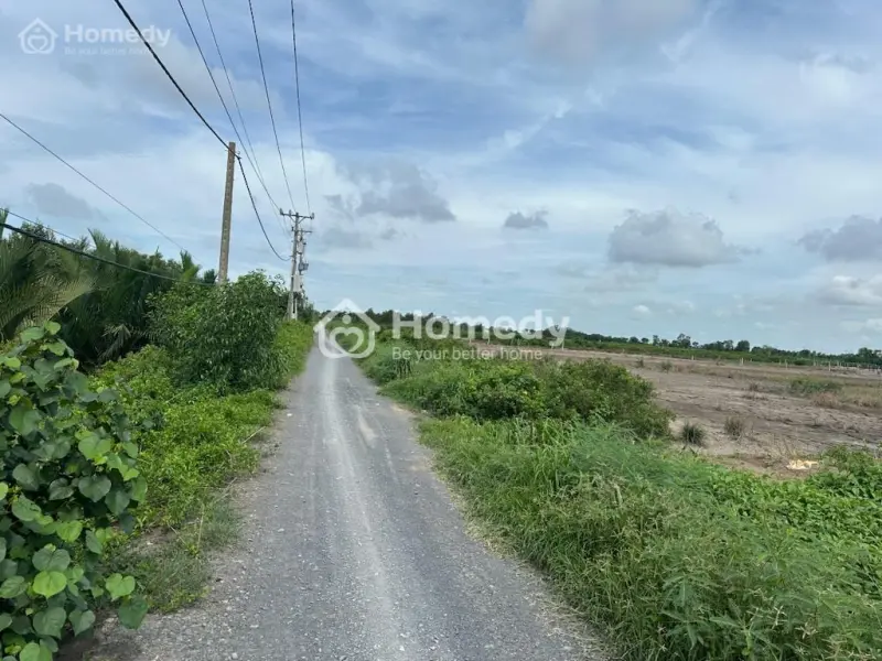 Bán Lô Đất Thổ Cư Đường Xương Cá Số 3 Xã Lý Nhơn Huyện Cần Giờ Tphcm Giá Rẻ