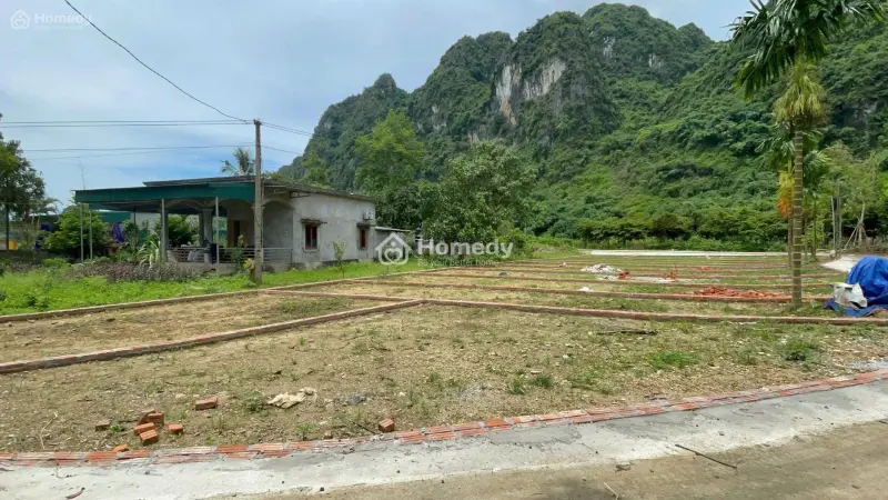 👉 Chính Chủ – Đầu Tư Đất Giá Chỉ 3Xx Triệu, Sát Kcn Thanh Sơn, Lợi Nhuận Bền Vững Hơn