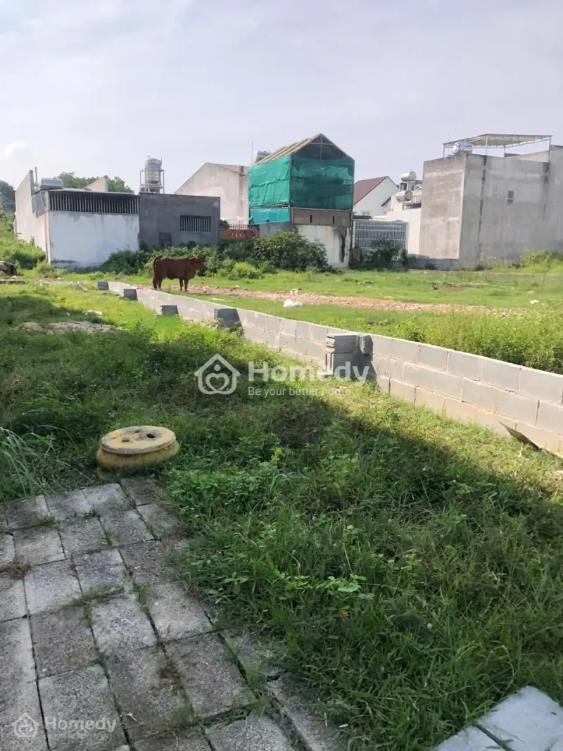 Bán 5M X 20M Đất Ở Hẻm Đinh Bộ Lĩnh, Phước Hội, Lagi Chỉ 950Tr Chính Chủ