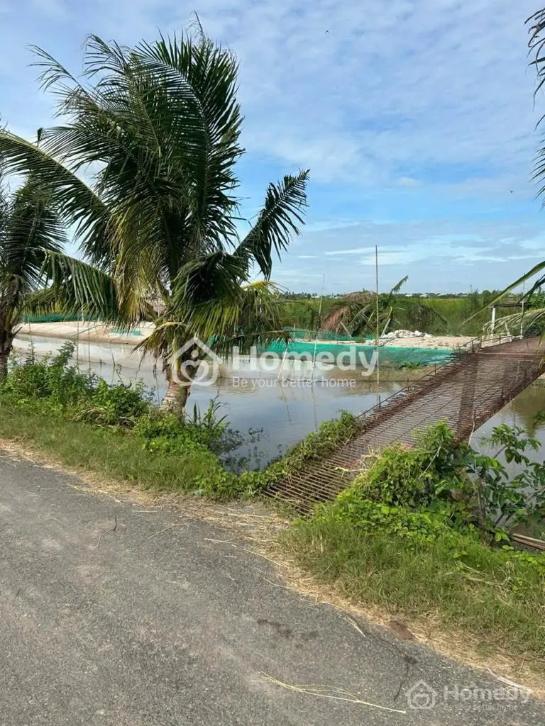 Bán Lô Đất Thổ Cư Giá Rẻ Xã Tân Điền Huyện Gò Công Đông Tỉnh Tiền Giang