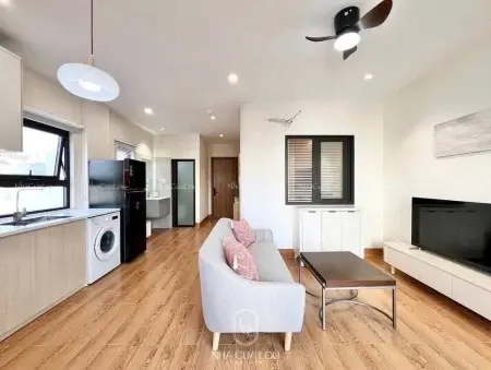 Cho Thuê Căn Hộ 1Pn/Studio Ngay Chân Cầu Kênh Tẻ, Gần Lotte, Đh Tdtu, Rmit