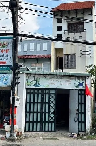 6046111 ảnh đại diện 1