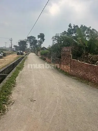 6046409 ảnh đại diện 1