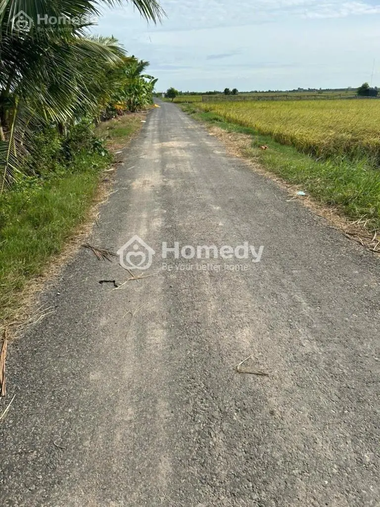 6045960 ảnh đại diện 1