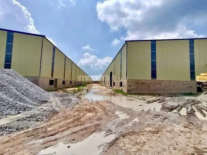 6046116 ảnh đại diện 1