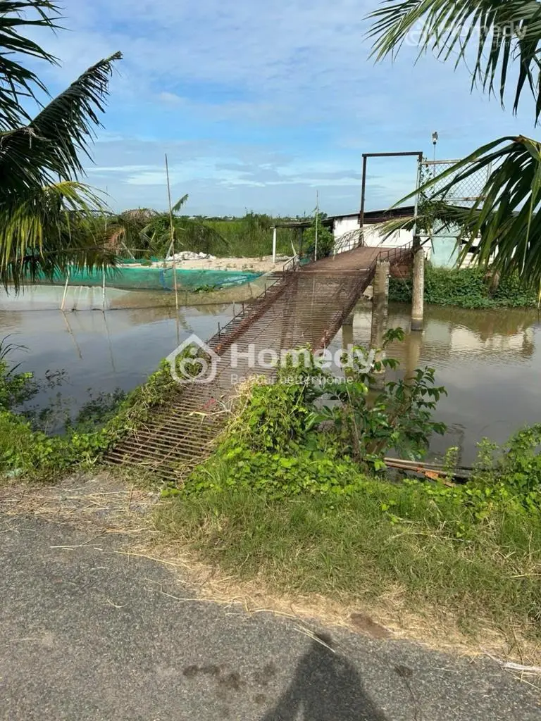 Bán Lô Đất Thổ Cư Giá Rẻ Xã Tân Điền Huyện Gò Công Đông Tỉnh Tiền Giang