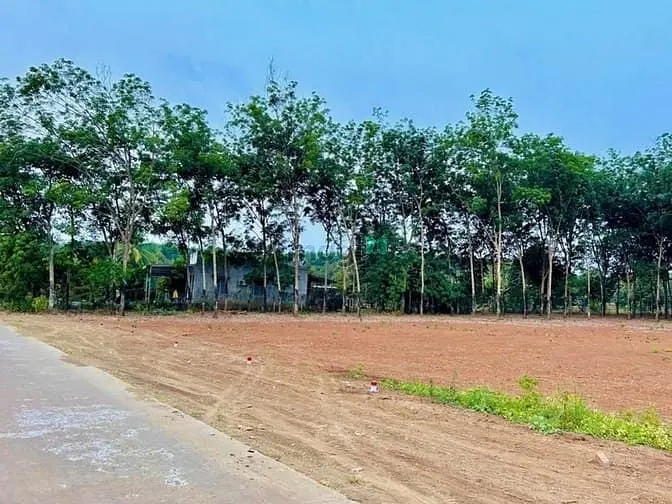 Đất Nền Giá Tốt Long Hà – Sổ Riêng, Sang Tên Trong Ngày