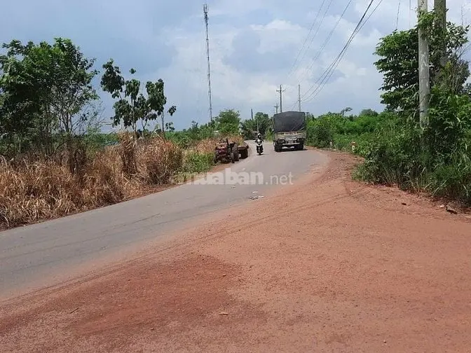 Bán 15.000M2 Đất Trồng Cây Lâu Năm Tại Xã Cây Gáo, Trảng Bom, Đồng Nai