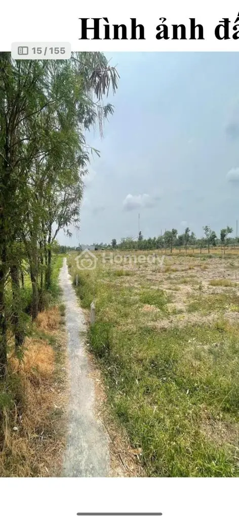 6045958 ảnh đại diện 1