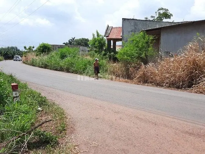 Bán 15.000M2 Đất Trồng Cây Lâu Năm Tại Xã Cây Gáo, Trảng Bom, Đồng Nai