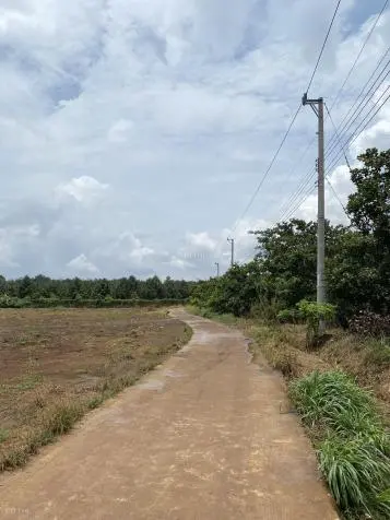 💎 Đất Nền Giá Tốt Long Hà – Sổ Riêng, Sang Tên Trong Ngày