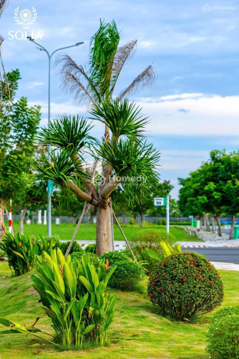 6046287 ảnh đại diện 1