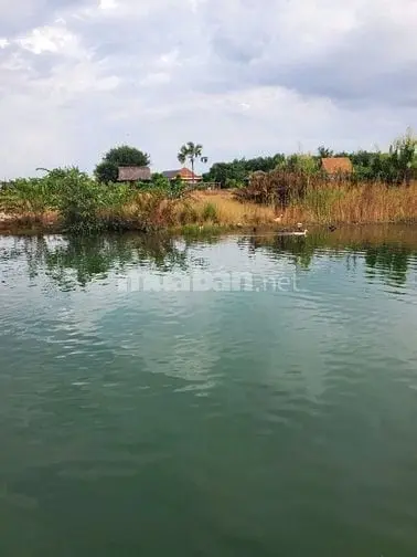 6045896 ảnh đại diện 1