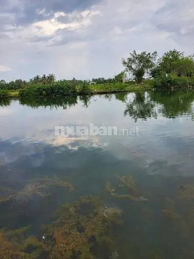 6045897 ảnh đại diện 1