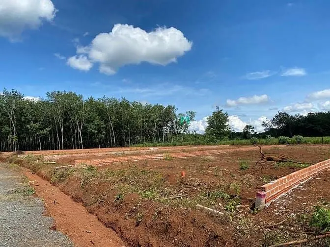 Đất Trung Tâm Long Hà – Dân Cư Đông Đúc, Đầu Tư An Toàn