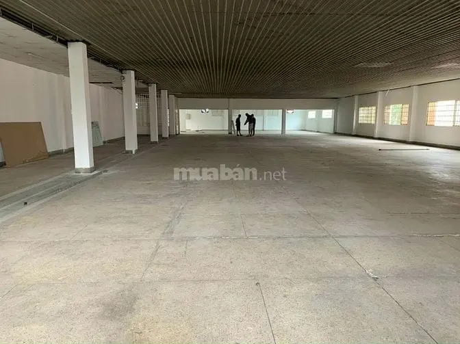 Cho Thuê 500M Kho Xưởng Đường Tân Sơn Quận Tân Bình