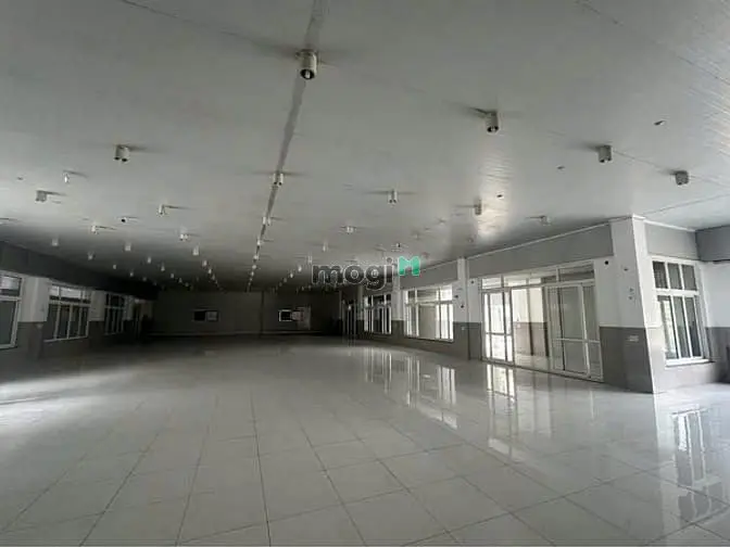 Cho Thuê Kho Lạnh 5.000M2 Mặt Tiền Dương Đình Cúc, Bình Chánh