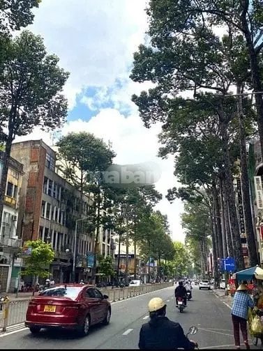 6046803 ảnh đại diện 1