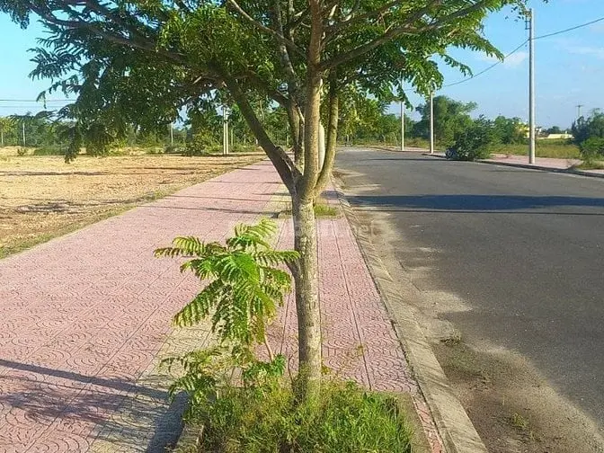 Lô Đất Mặt Tiền 150M2(6X25) Giá Chỉ 2 Tỷ 4