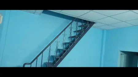 Cho Thuê Nhà Nguyên Căn Quận 7 - Nhà Mới Nâng Nền Cao Ráo, Hẻm Xe Hơi, Miễn Trung Gian