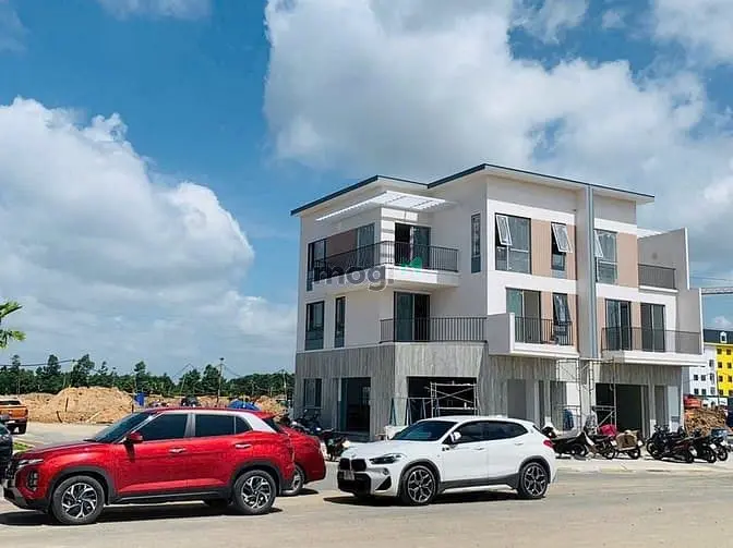 6046947 ảnh đại diện 1
