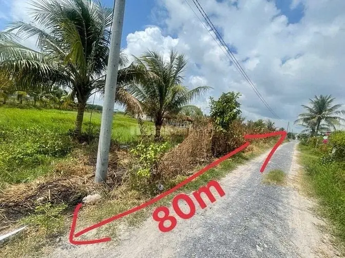 6046534 ảnh đại diện 1