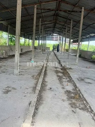 Chính Chủ Bán 5800M2 Đất Thổ Cư Xã Đồng Khởi Châu Thành Tây Ninh, 2Tỷ