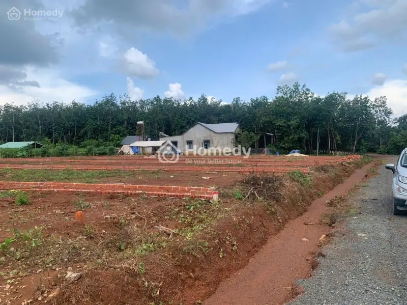 6046555 ảnh đại diện 1