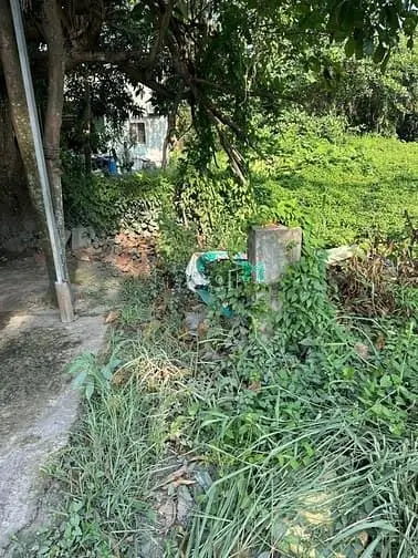 Bình Chánh, Bán Đất Mặt Tiền Thanh Niên Dt 20X50M 970M2 Có Thổ Cư
