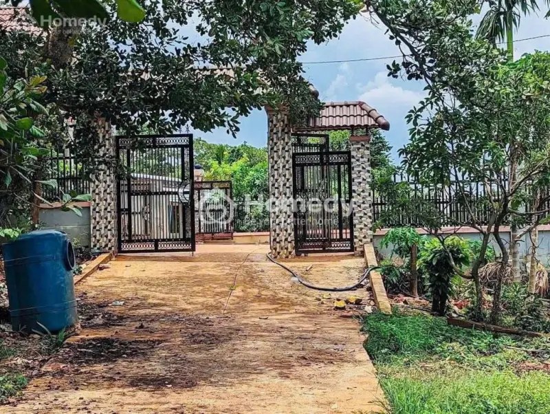 Bán Vườn Chôm Chôm Có Sổ Riêng