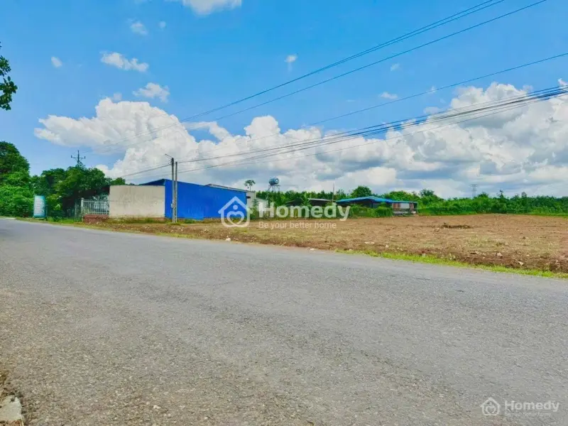 6047589 ảnh đại diện 1