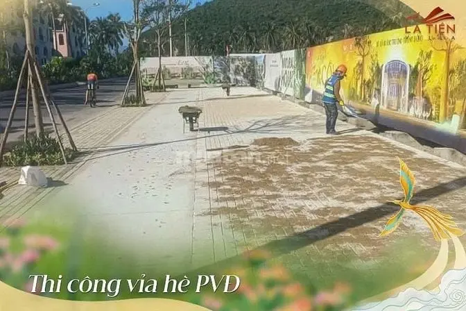 6047509 ảnh đại diện 1