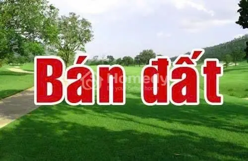Chủ Gốc Bán Nền 280 M² Tại Nguyễn Đệ, An Hòa, Ninh Kiều, Cần Thơ - 32 Tỷ