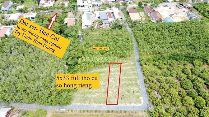 6047570 ảnh đại diện 1