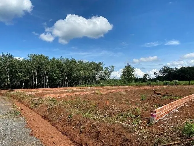 Đất Nền Mặt Tiền 390M2, 100M2 Thổ Cư. Tiện Ích Đầy Đủ, Dân Cư Hữu