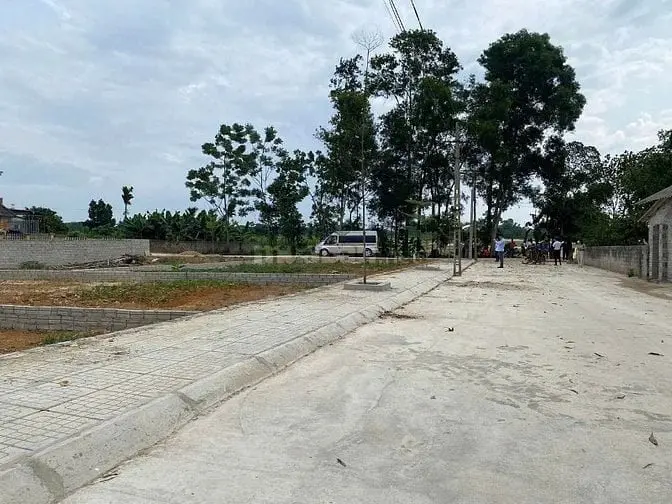 6047403 ảnh đại diện 1