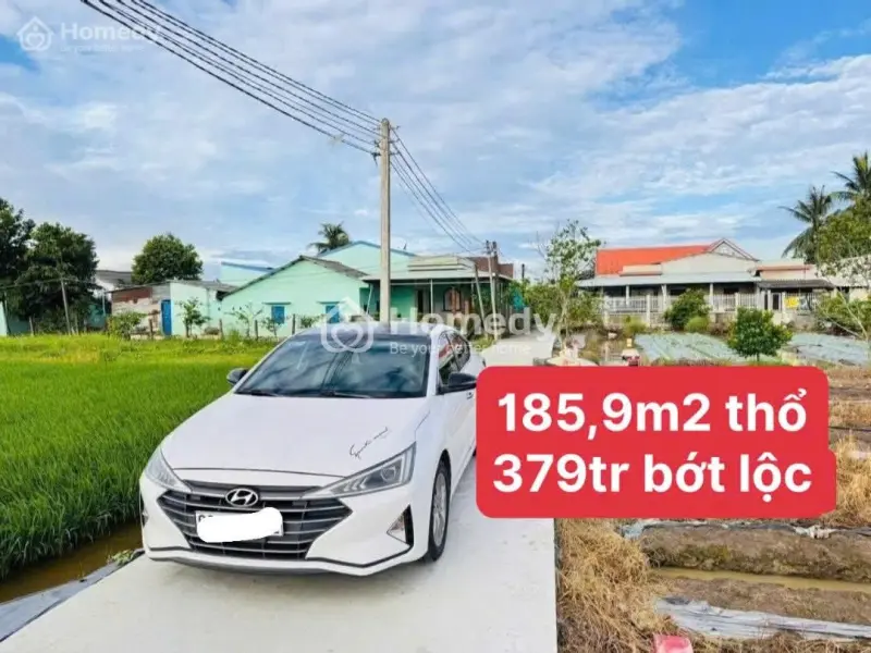 6047375 ảnh đại diện 1