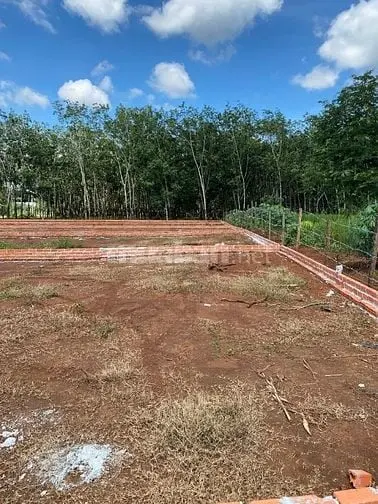 Đất Nền Mặt Tiền 390M2, 100M2 Thổ Cư. Tiện Ích Đầy Đủ, Dân Cư Hữu