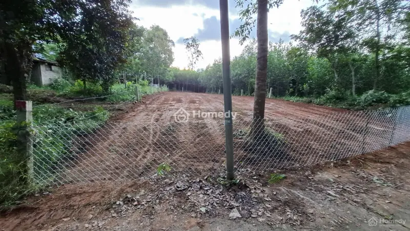 Bán Đất 439,9M2 Có 200M2 Đất Ở Tại Ninh An, Xã Bà Nà, Tp Đà Nẵng