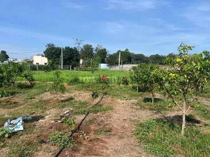 Bán Lô Đất Bao Đẹp Tại Quốc Lộ 91, Mỹ Phú, Châu Phú, An Giang, 23 Tỷ,