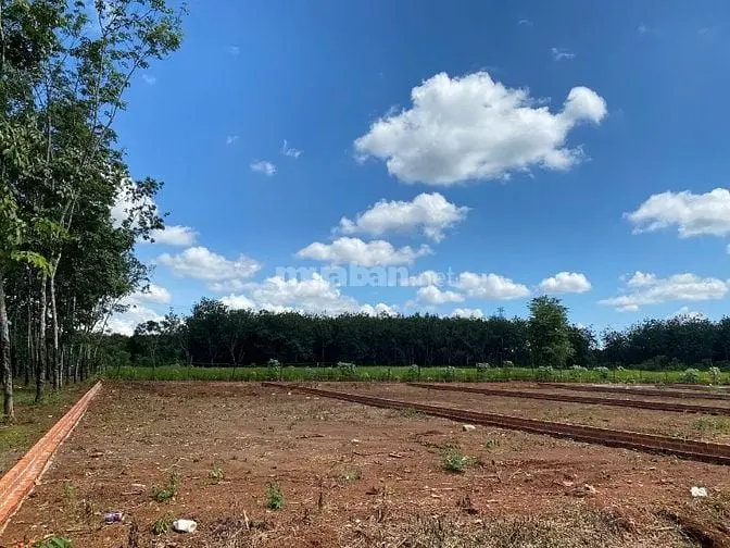 Đất Nền Mặt Tiền 390M2, 100M2 Thổ Cư. Tiện Ích Đầy Đủ, Dân Cư Hữu