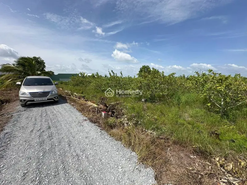 ++ Về Bình Chánh 15Km. 500M2 Đất Vườn (Chuyển Full Thổ Cư)
