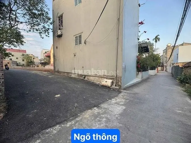 Bán Đất Tại Xã Cổ Loa, Đông Anh, Hà Nội, 92 Triệu / M2, 51.6 M2