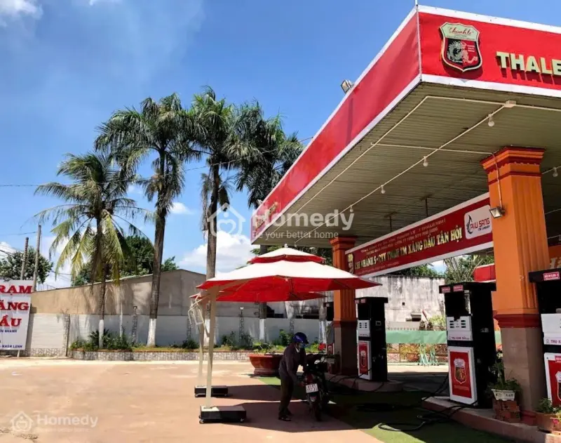 Kẹt Tiền Bán Gấp 25X50=1250M2 Đất Thổ Cư, Sổ Riêng Ngay Trung Tâm Có Chợ, Tr.học Kế Bên. Giá 195Tr