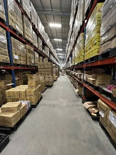 Cho Thuê Kho, Dt: 1.600M2 P. Tân Tạo, Bình Tân, Kho Mới, Pccc Tự Động