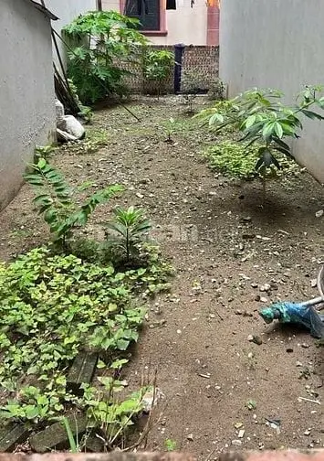 6047883 ảnh đại diện 1