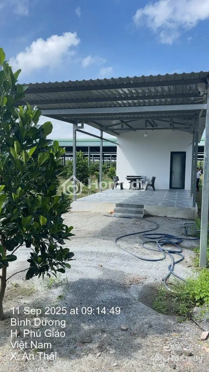 6047903 ảnh đại diện 1
