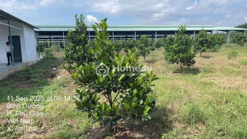 Bán Đất Có Nhà Tại Phú Giáo Bình Dương Giá Chỉ 860 Triệu