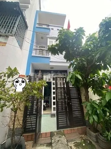 6047763 ảnh đại diện 1